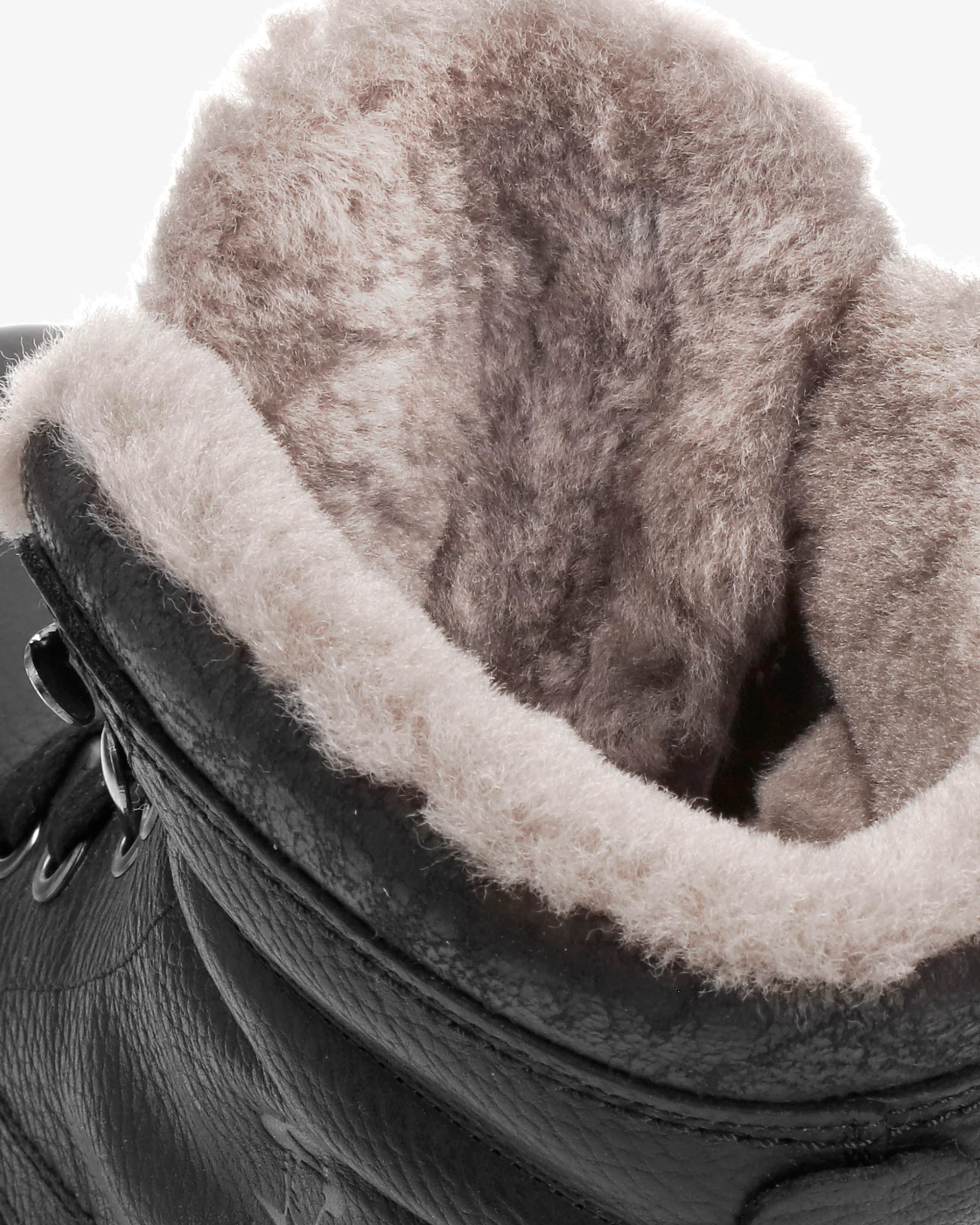 P03 Aviator Igloo C11 Napa Grass Negro - Image 5