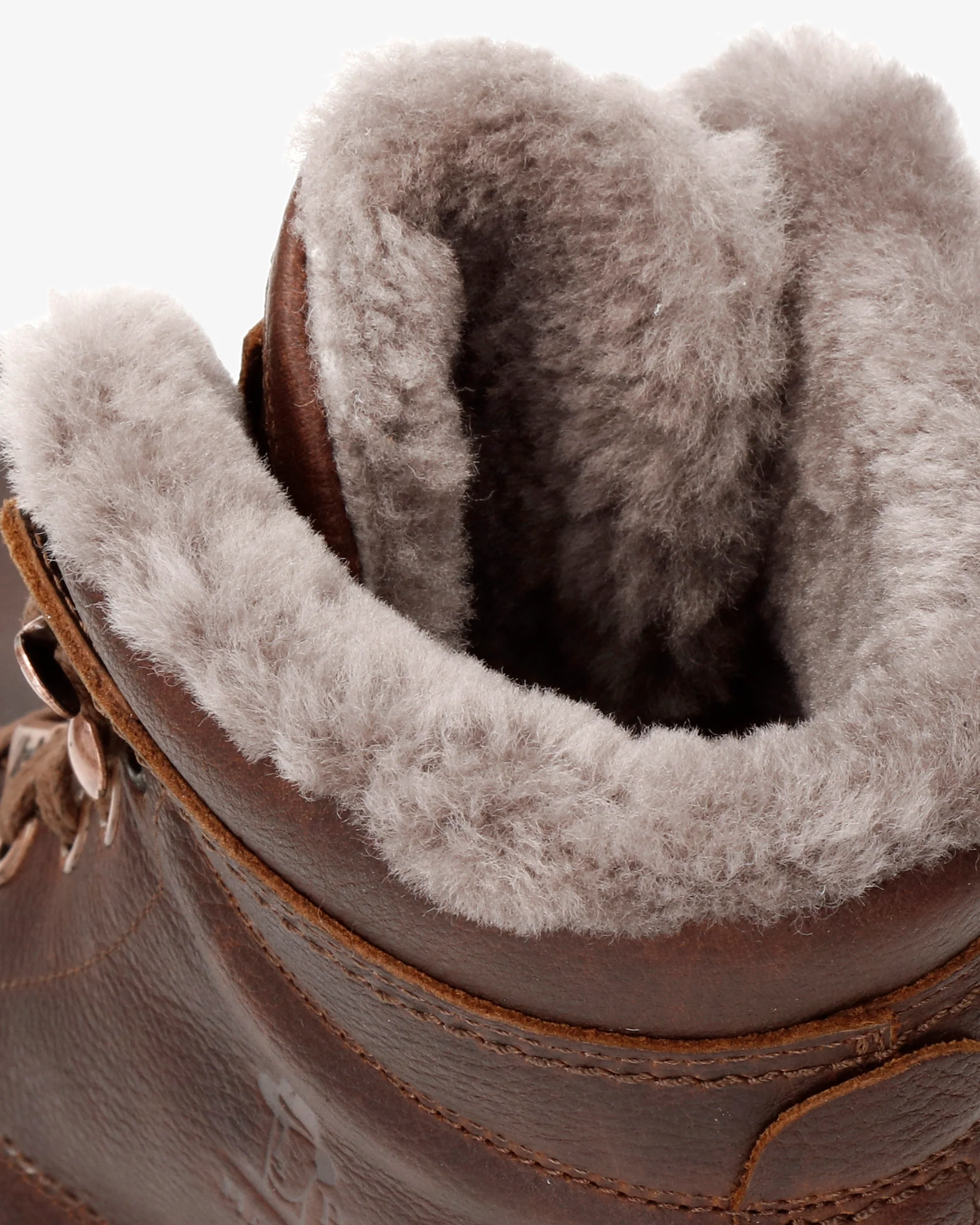 P03 Aviator Igloo C13 Napa Grass Castaño - Image 7