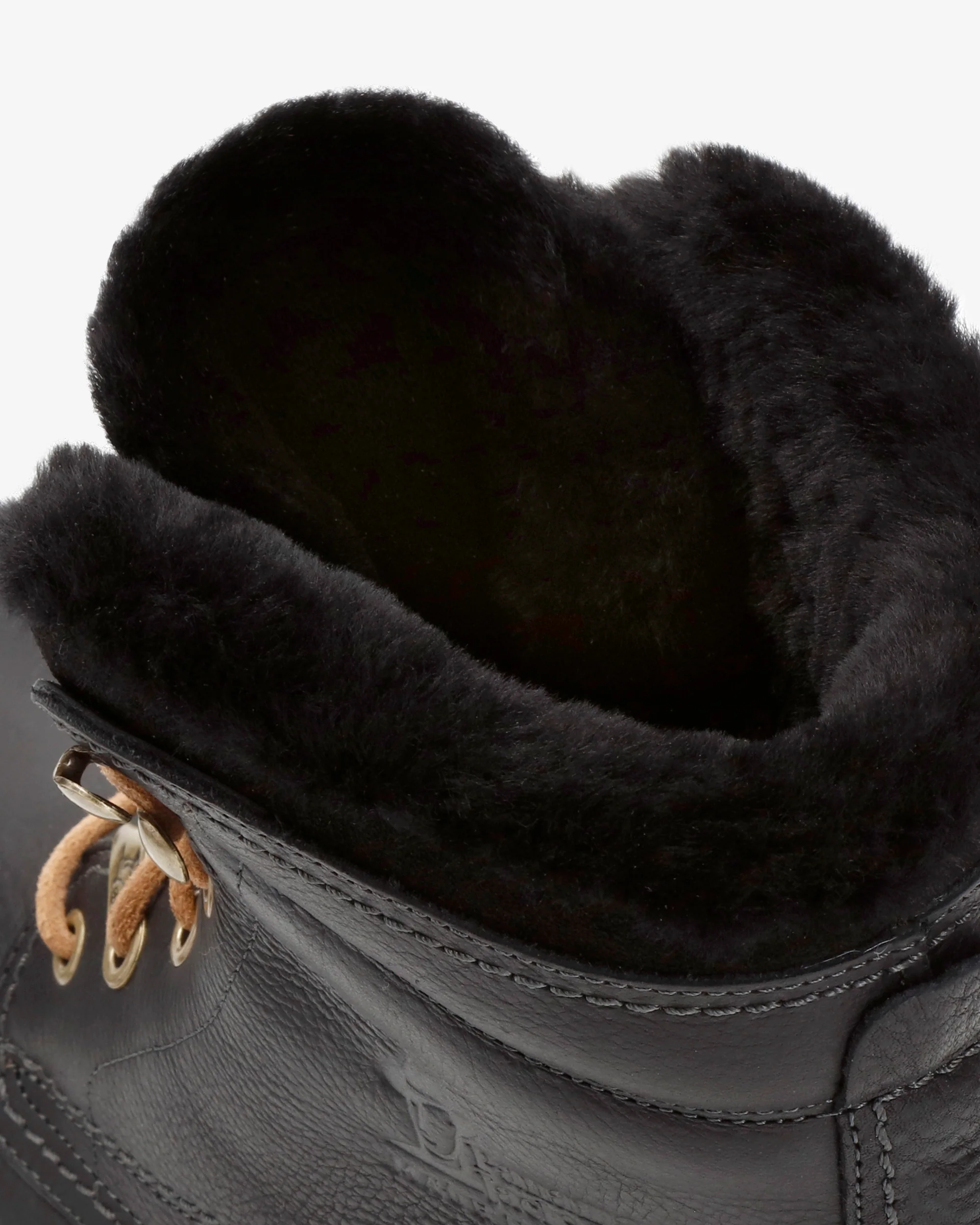P03 Aviator Igloo C18 Napa Grass Negro - Image 6