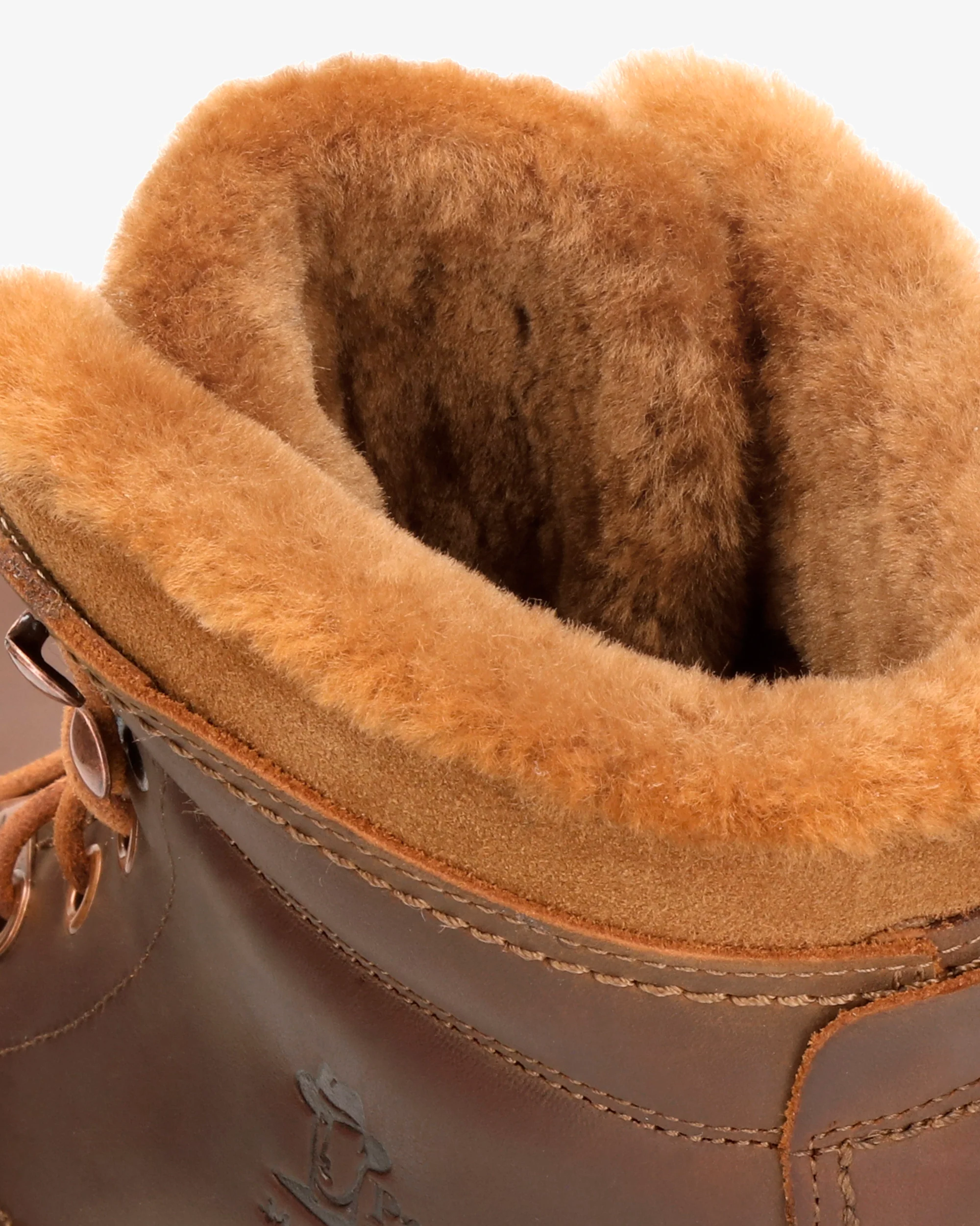 P03 Aviator Igloo C20 Napa Grass Cuero - Image 5