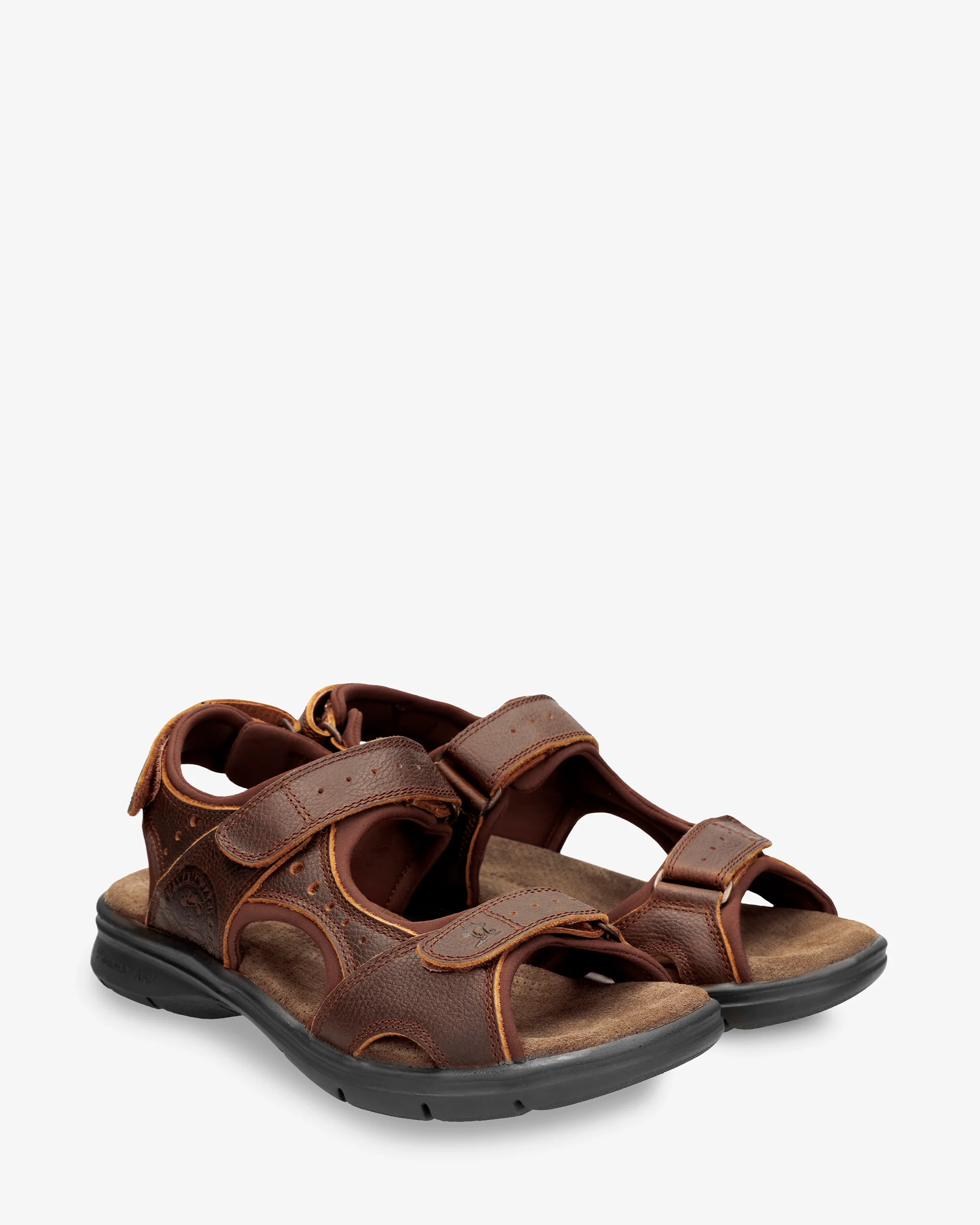Salton Basics C4 Napa Grass Cuero - Image 7
