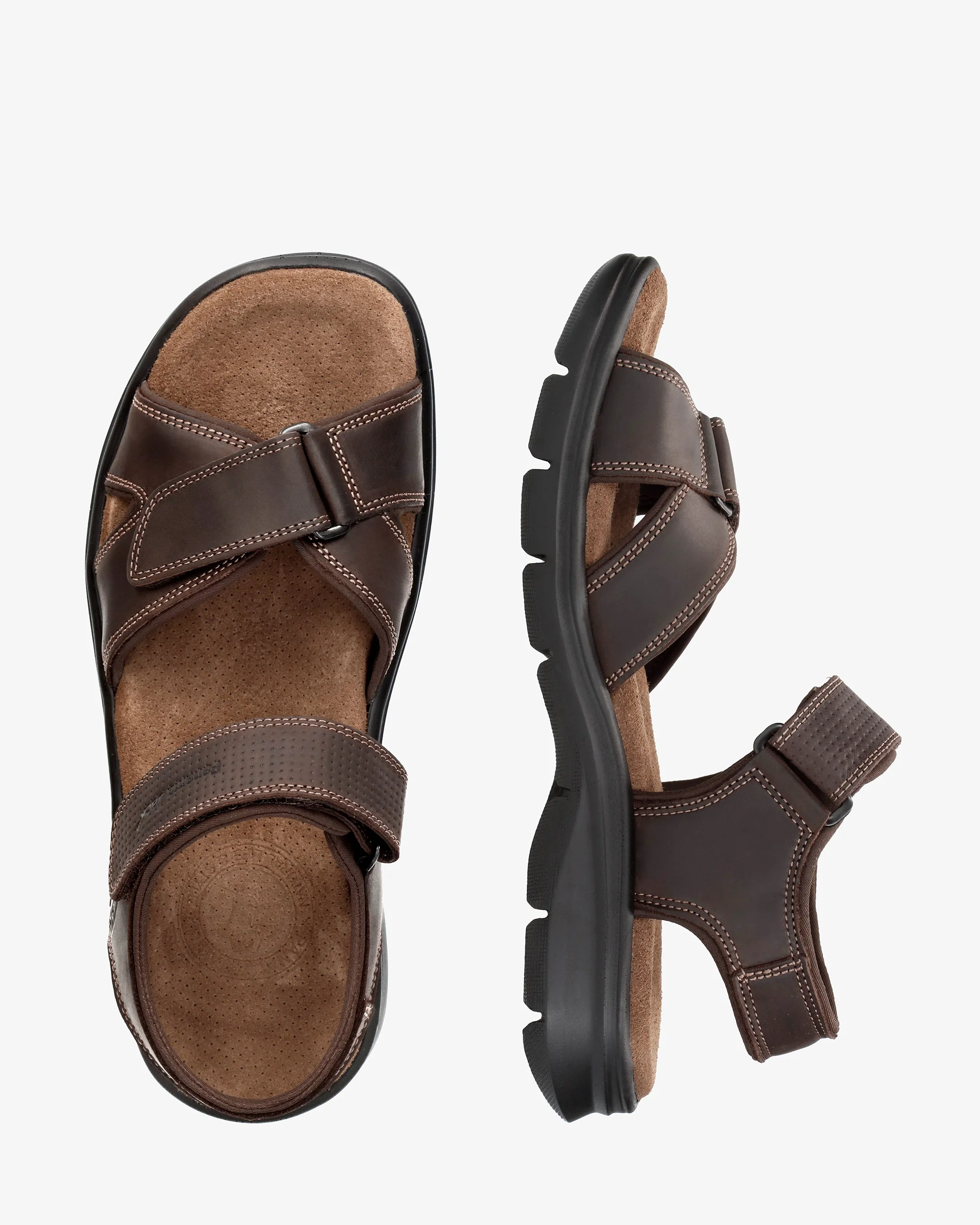 Sanders Basics C1 Napa Grass Marron - Image 3
