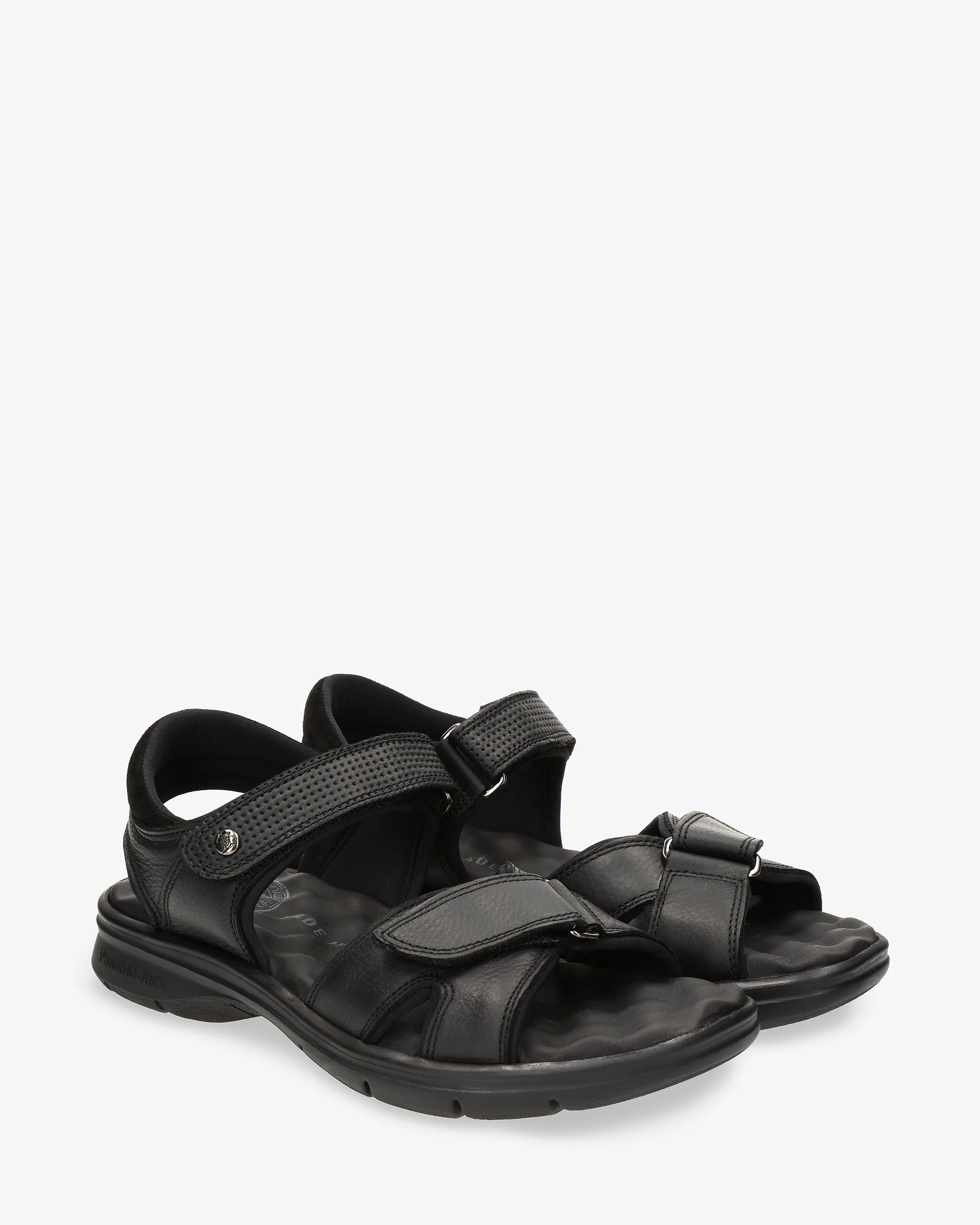Sanders C18 Napa Grass Negro - Image 4