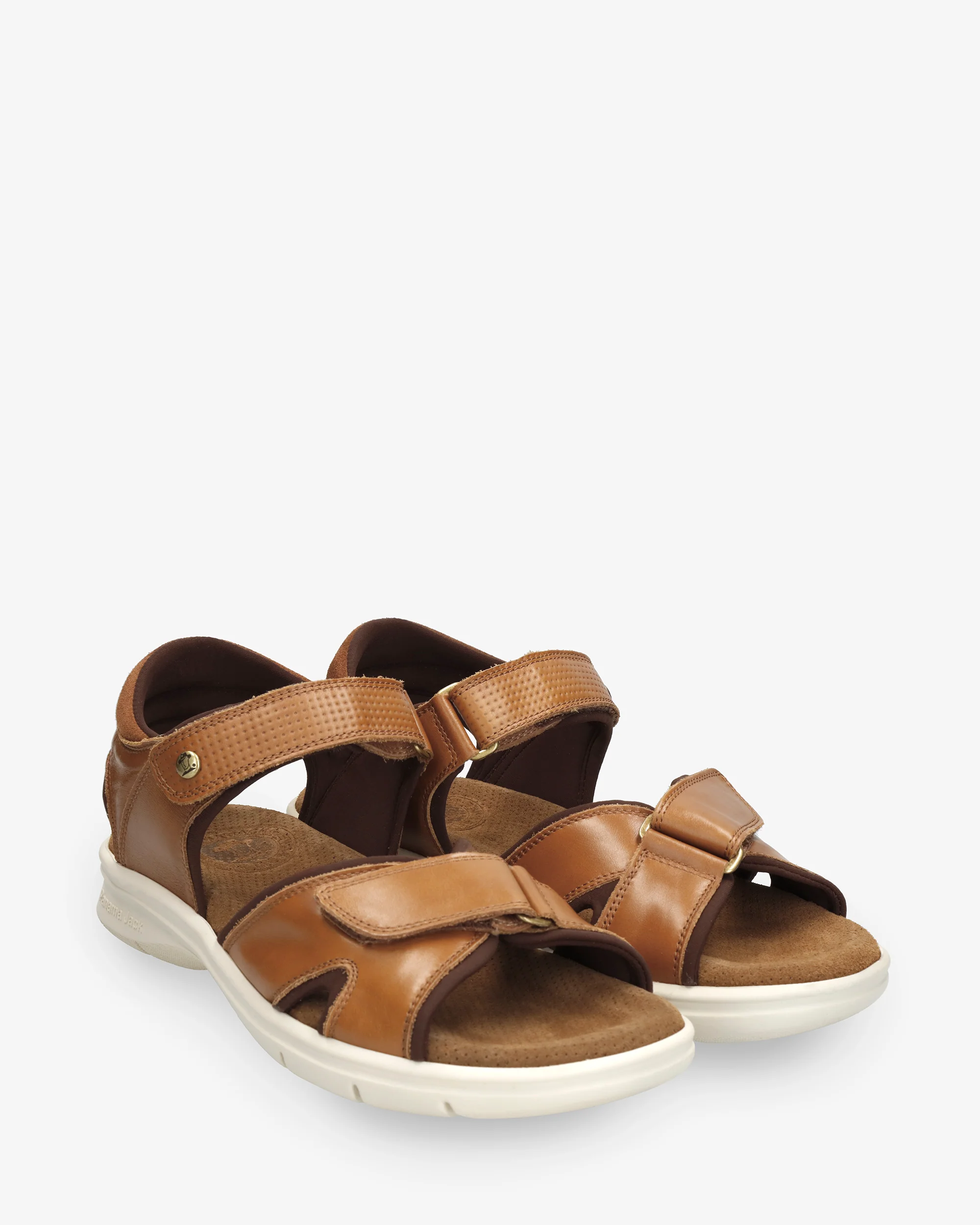 Sanders C27 Napa Cuero - Image 2
