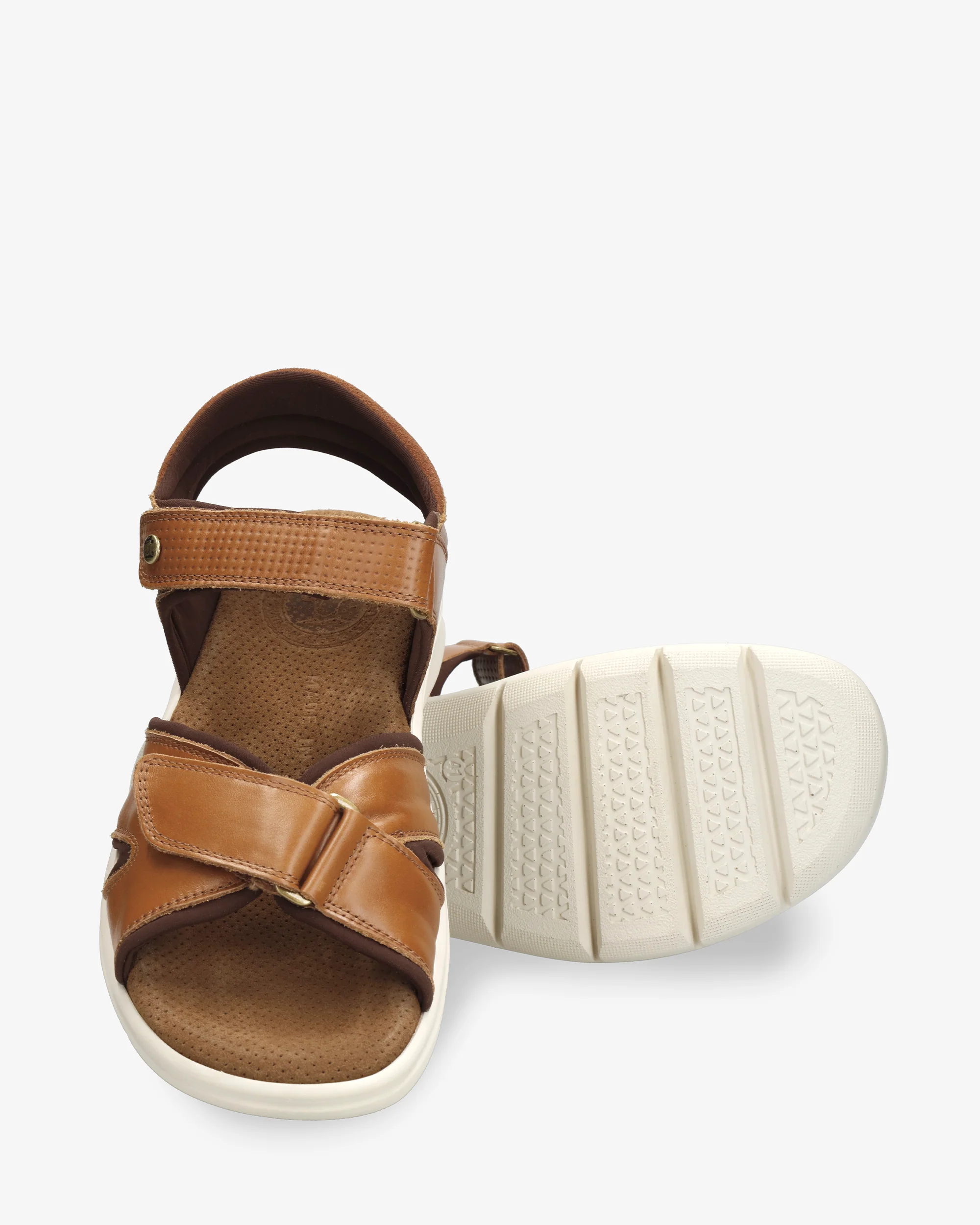 Sanders C27 Napa Cuero - Image 5