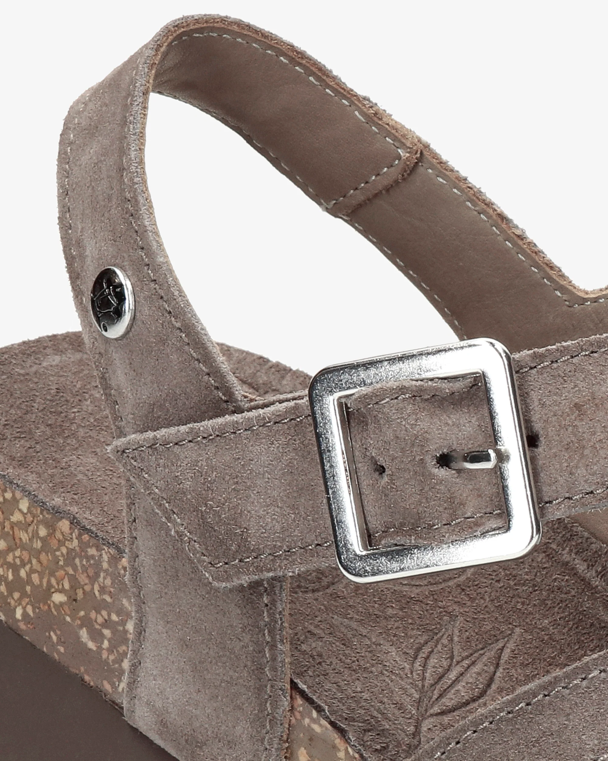 Sasha B6 Velour Piedra - Image 7